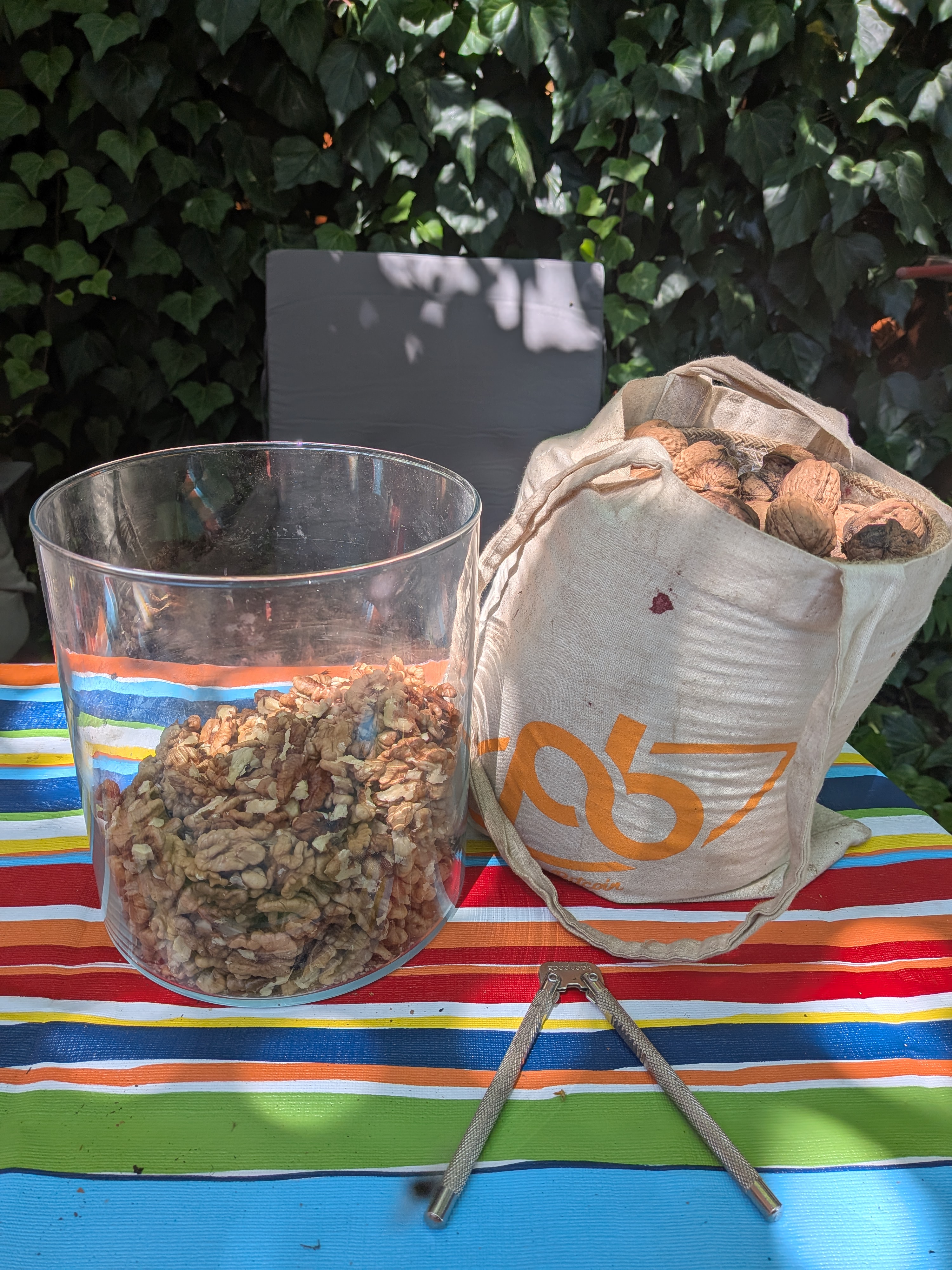 Homegrown Organic Walnuts
